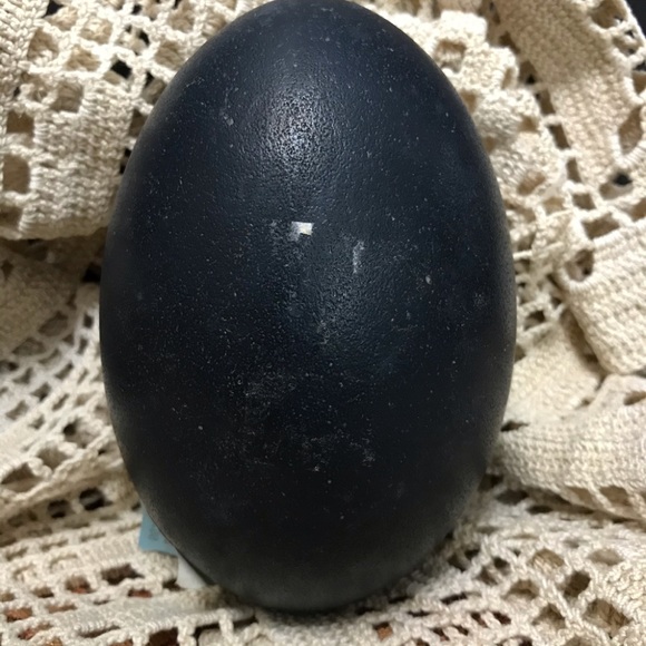Emu eggs - Picture 2 of 5